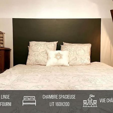 Grand Appartement Place Saint-Pierre, Proche Chateau De Saumur Et Bord De Loire" Eksteriør billede