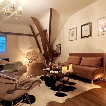 Grand Appartement Place Saint-Pierre, Proche Chateau De Saumur Et Bord De Loire" Eksteriør billede