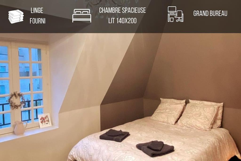 Grand Appartement Place Saint-Pierre, Proche Chateau De Saumur Et Bord De Loire" Eksteriør billede